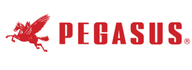 Logo-PEGASUS